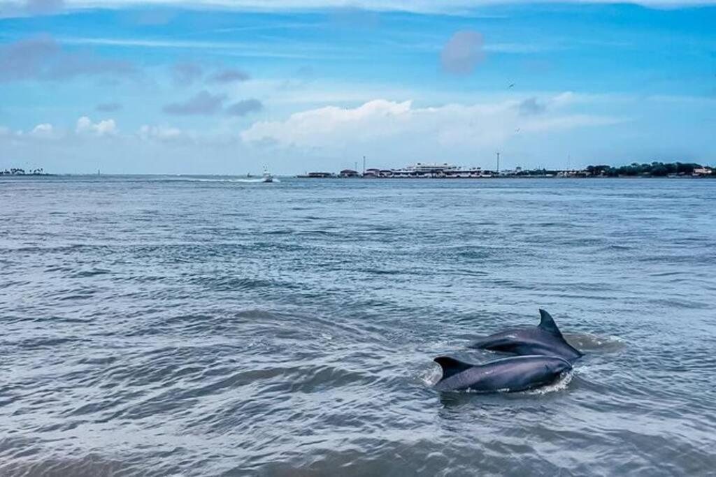 Kari'S Island Escape - Historic District Villa Galveston Bagian luar foto